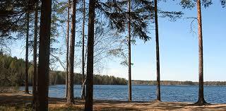 Ruostejärvi
